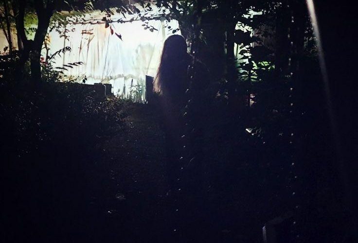 توهم بی نقص بودن سایه تاریکی هیجان