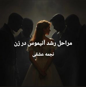 مراحل رشد آنیموس در زن - نجمه عشقی